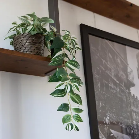 Gioberti Penthouse * Florencja